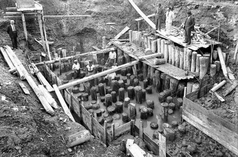 Historic wooden piles used in Venice lagoon foundations