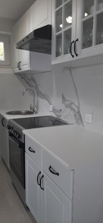 Apartment kitchen